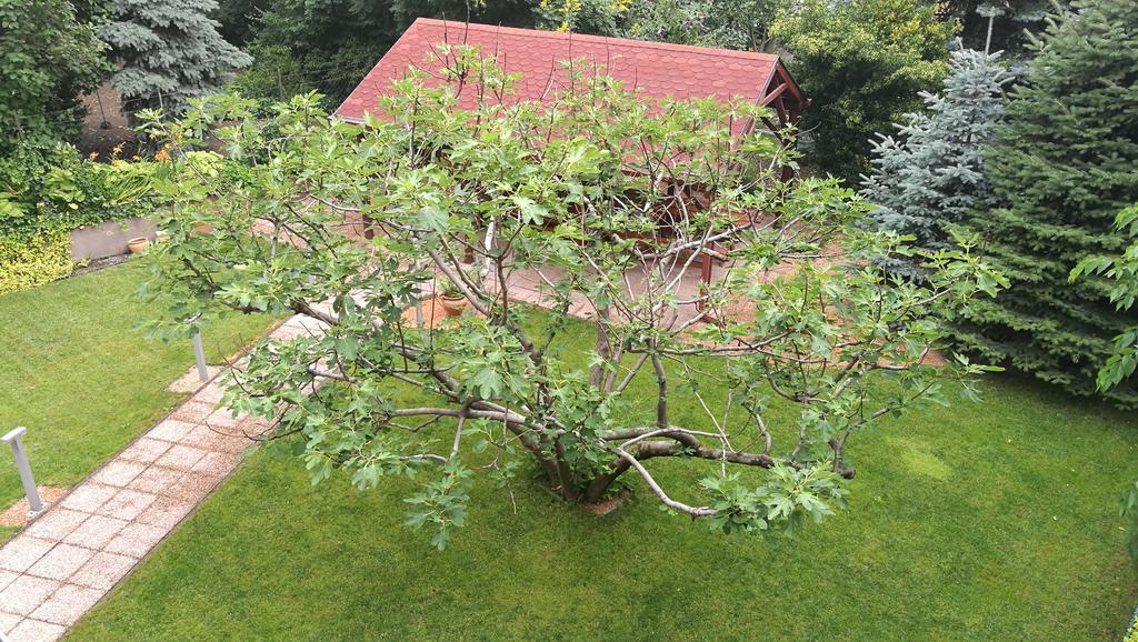 Fig Tree House Будапеща Екстериор снимка