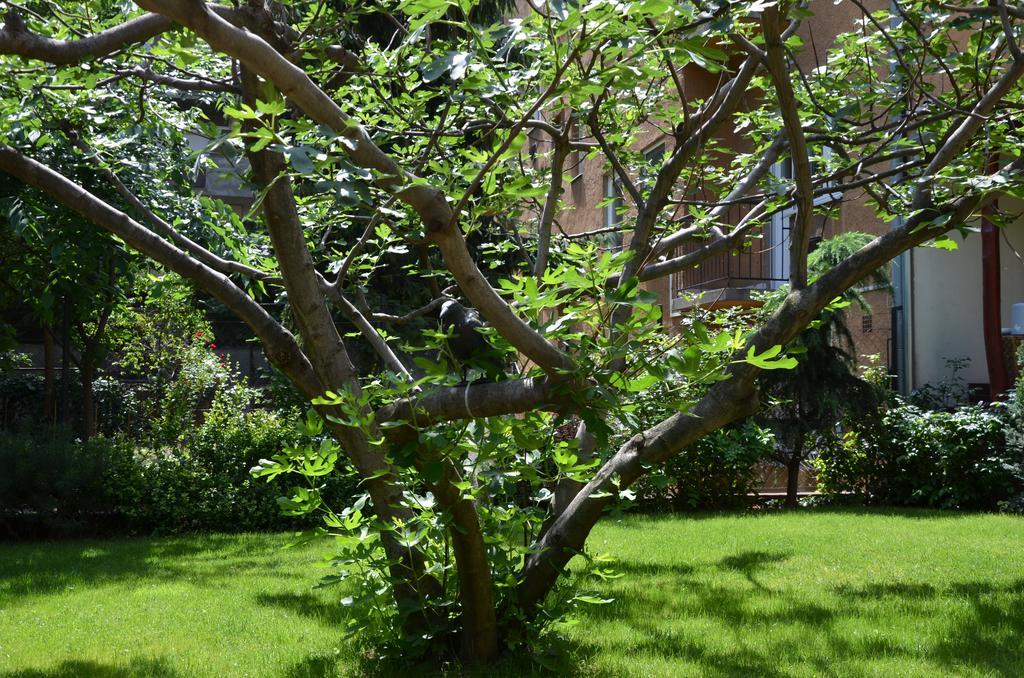 Fig Tree House Будапеща Екстериор снимка