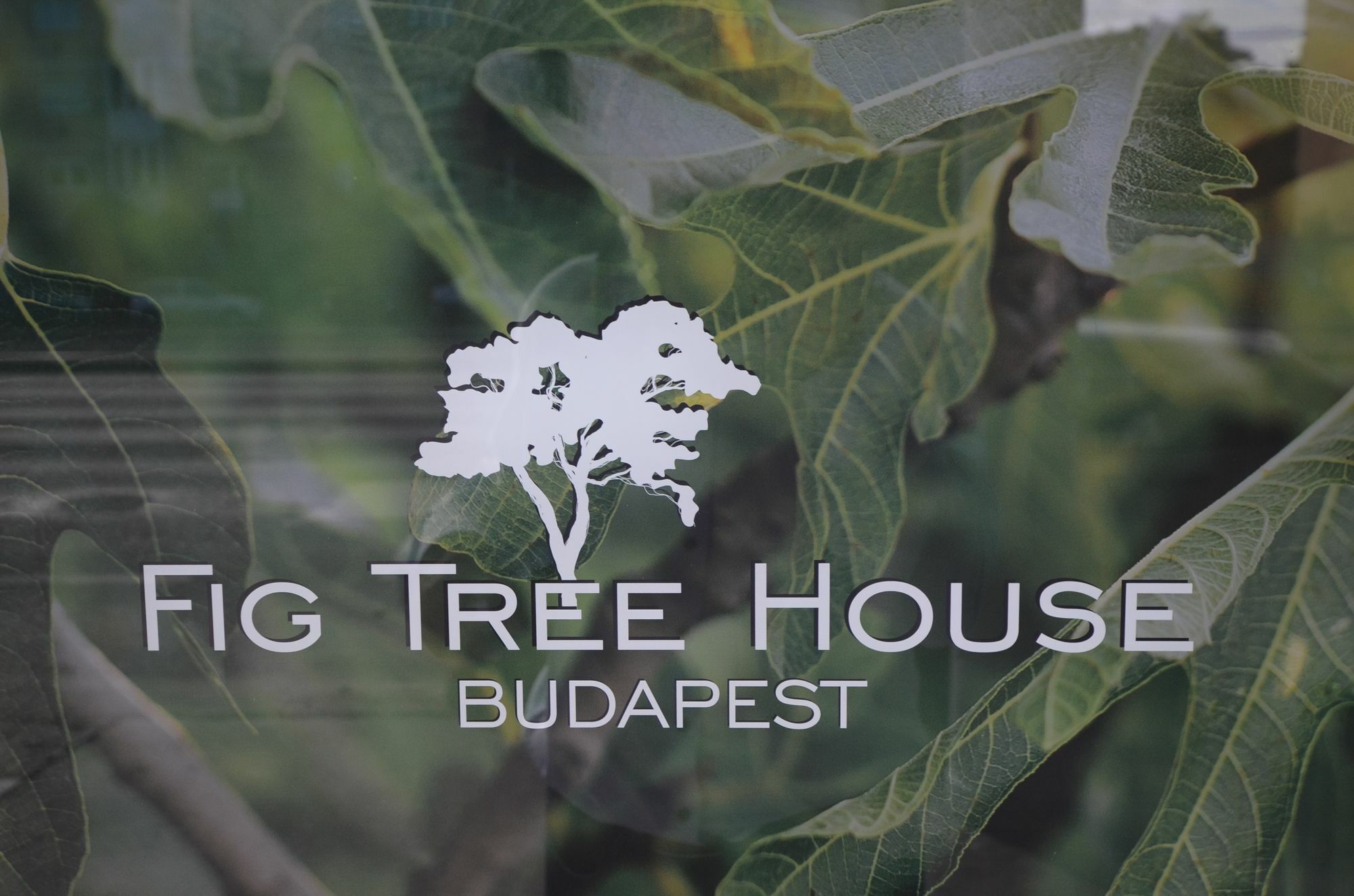 Fig Tree House Будапеща Екстериор снимка